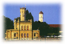 {short description of image}