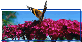 {short description of image}